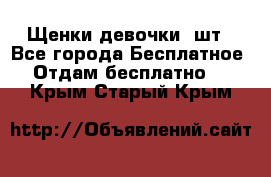 Щенки девочки 4шт - Все города Бесплатное » Отдам бесплатно   . Крым,Старый Крым